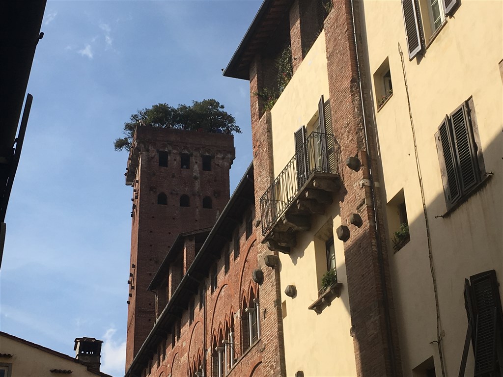 Florencia - Kráľovná renesancie 11