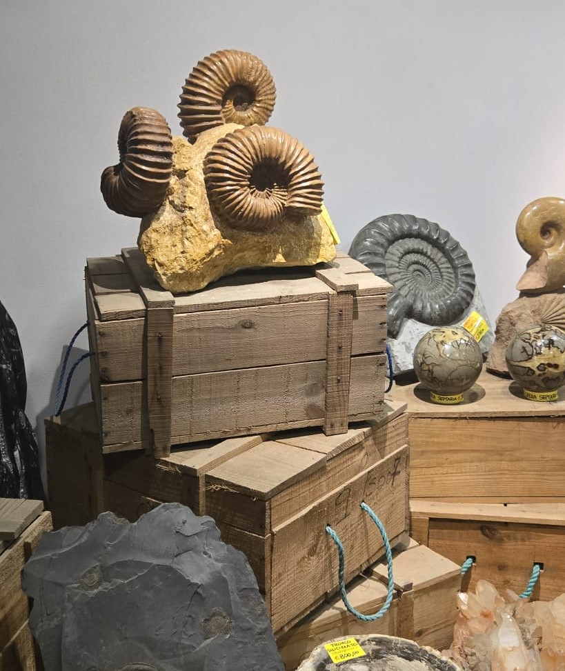 Elba - Napoleonov ostrov 18