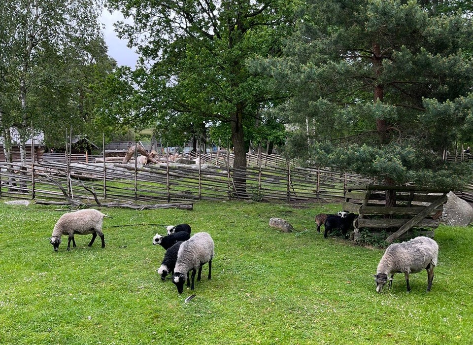 Štokholm - Benátky severu 38