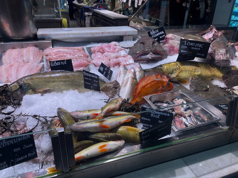 Štokholm - Benátky severu 9