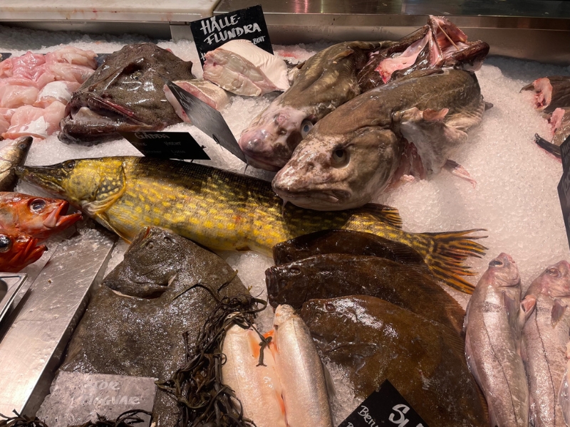 Štokholm - Benátky severu 10