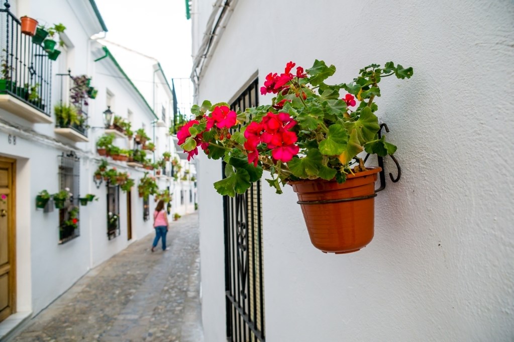 Grand Tour Španielskom 9