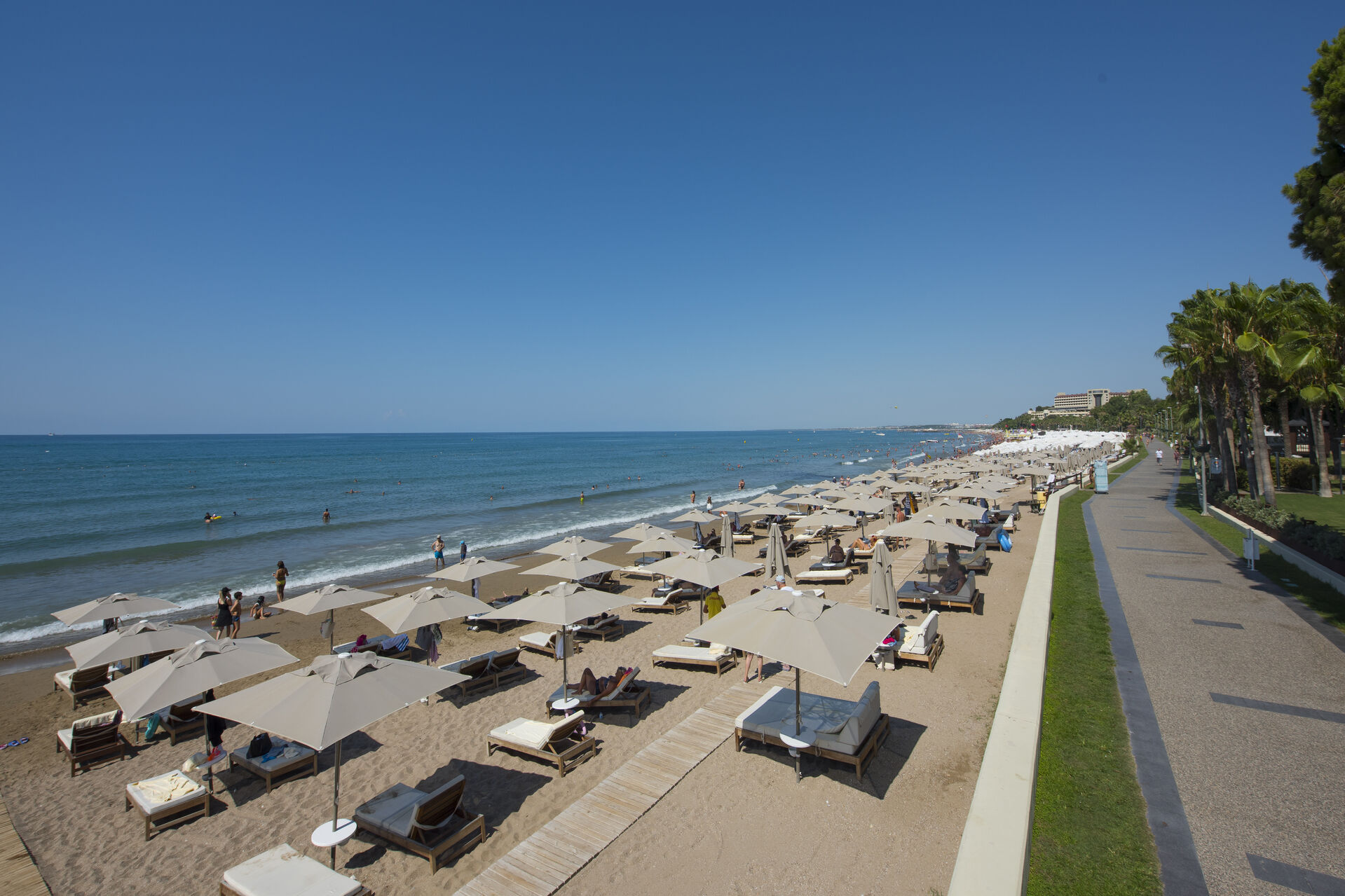 Barut Acanthus & Cennet 16